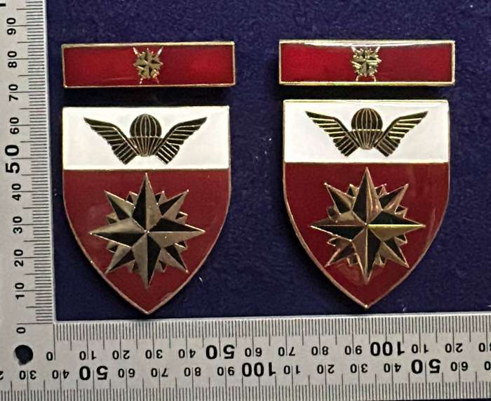 SA ARMY - 5 Special Forces Regiment Flashes with Higher Formation Bars - Set - all pins