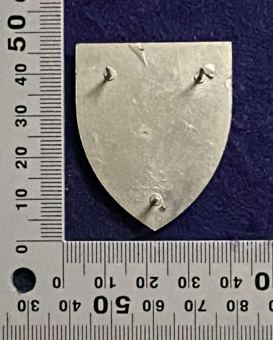 SADF - 5 Recce Regiment Metal Arm Flash - 3 pins
