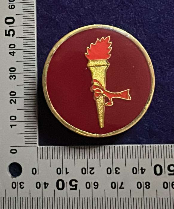 SADF 44 PARACHUTE BRIGADE PATHFINDER PROFICIENCY Badge