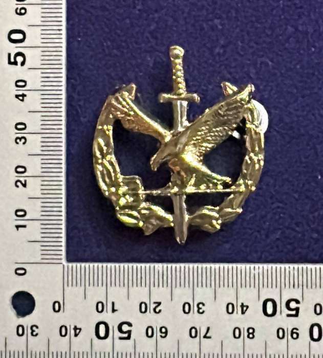 SAP Taskforce Operator Qualification Badge - Metal (3 pins)