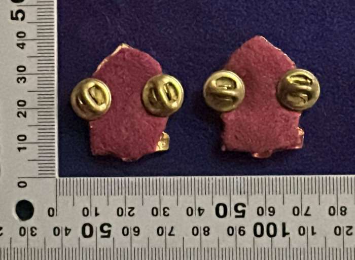 SADF - SAMS Collar Badges with Red Backing Cloth - Set