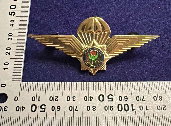SAP Taskforce Para Qualification Wings - Complete with 2 pins