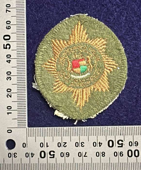 SAP - Beret / Cap Badge - EMBROIDERED - Variant
