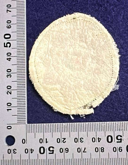 SAP - Beret / Cap Badge - EMBROIDERED - Variant