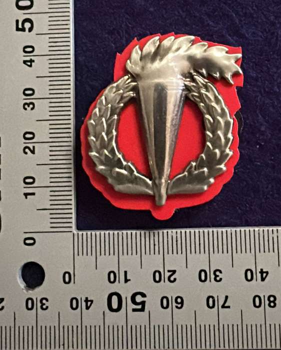 SA ARMY - Chrome Pathfinders Qualification Badge with Red Backing