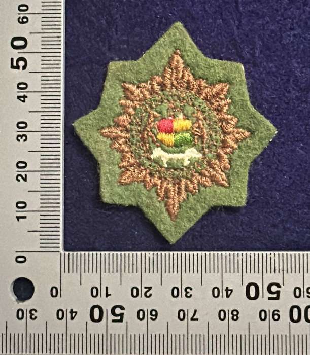 SAP/SWAP - Beret / Cap Badge - EMBROIDERED - Variant