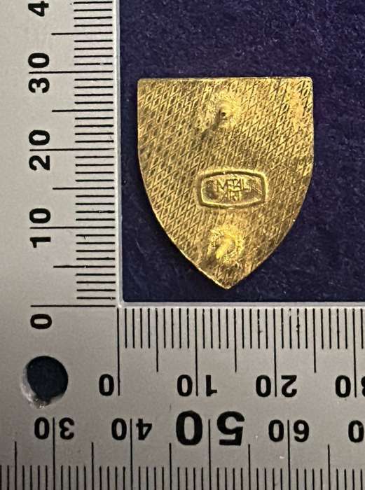 SAP - MALEOSKOP Flash / Fob - 2 pins, Made by Metal Art