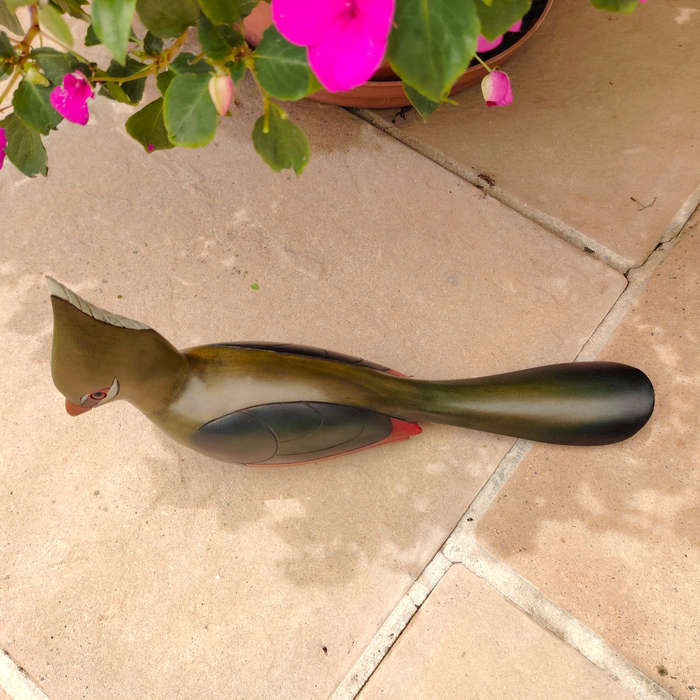 Feathers of Knysna carved and hand painted Male Knysna Lourie Ltd Bird