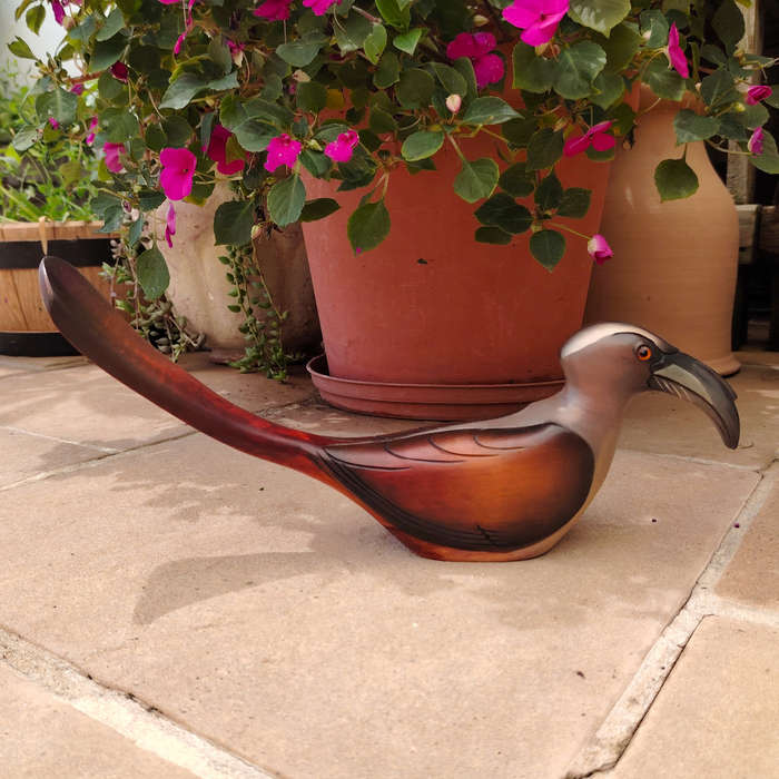 Feathers of Knysna carved and hand painted Female Grey Hornbill Ltd Bird