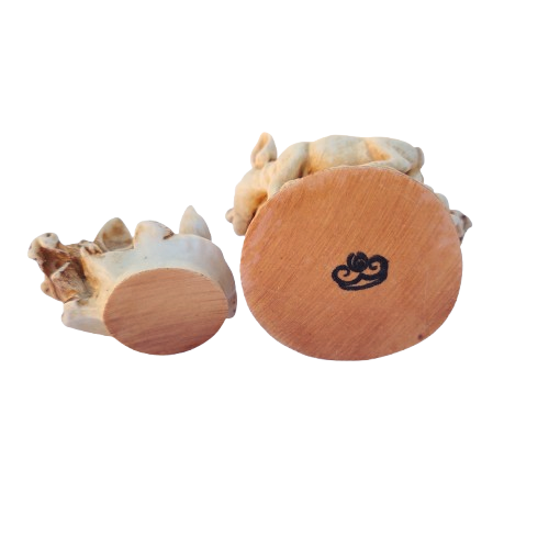 Harmony Kingdom Pig Hog Treasure Chest