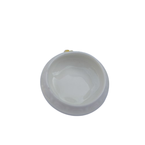 Aynsley Porcelain lidded trinket box