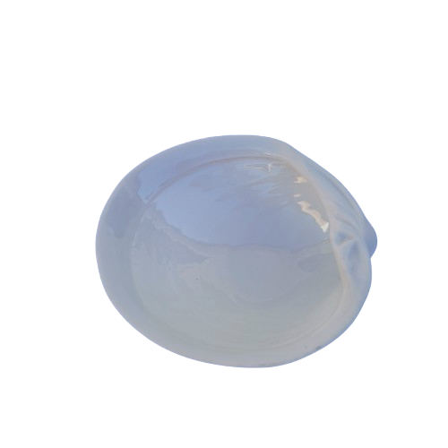 Luna Porcelain Large Shell Dish