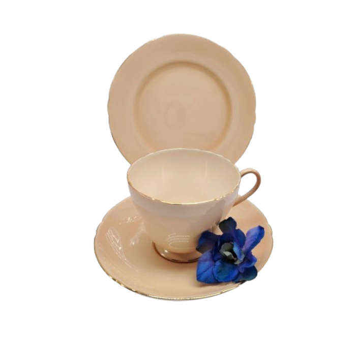 Shelley Pastel Peach Trio Cup Saucer and Plate