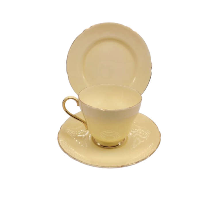 Shelley Pastel Yellow Trio Cup Saucer and Plate