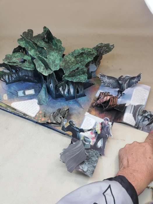 Magnificent!!! Majestic Harry Potter Pop Up Guide to Hogwarts Book