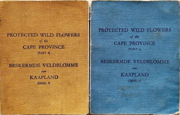Protected Wild Flowers of the Cape Province Volume 1 and Volume 3