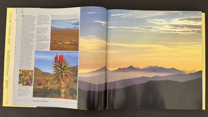 Evocative Africa - Voyages of Discovery