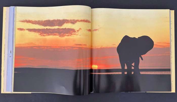 Evocative Africa - Voyages of Discovery