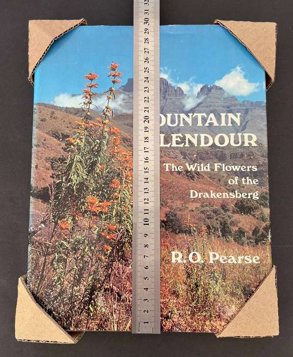 Mountain Splendour - The Wild Flowers of the Drakensberg