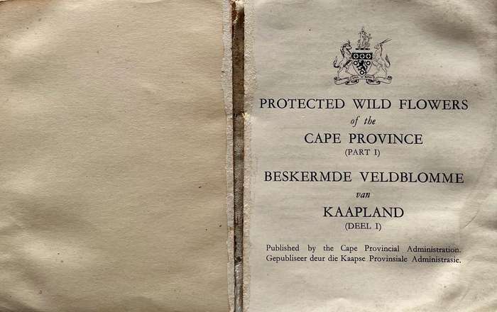 Protected Wild Flowers of the Cape Province Volume 1 and Volume 3