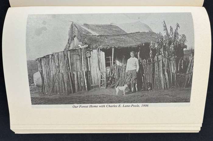 Between Woodbush and Wolkberg - Googoo Thompson's Story