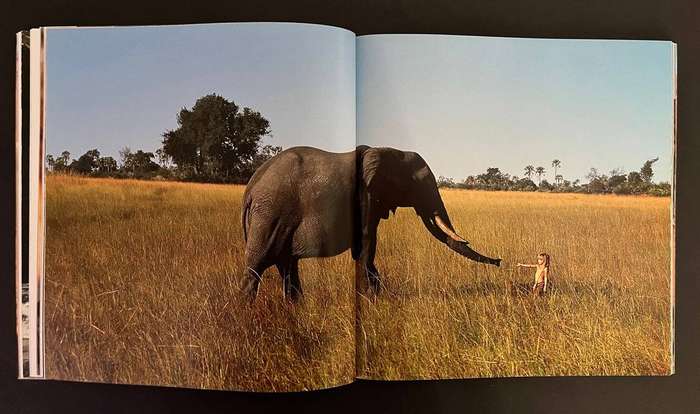 Tippi - My Book of Africa