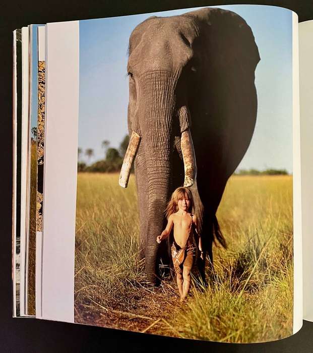 Tippi - My Book of Africa