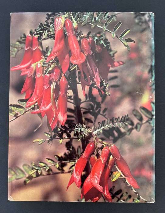 Mountain Splendour - The Wild Flowers of the Drakensberg