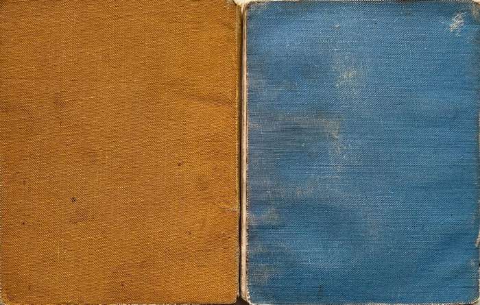 Protected Wild Flowers of the Cape Province Volume 1 and Volume 3