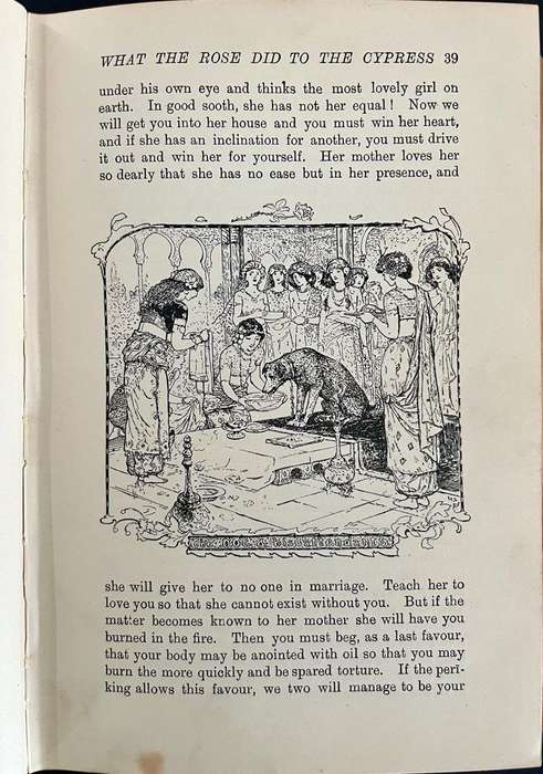 The Brown Fairy Book