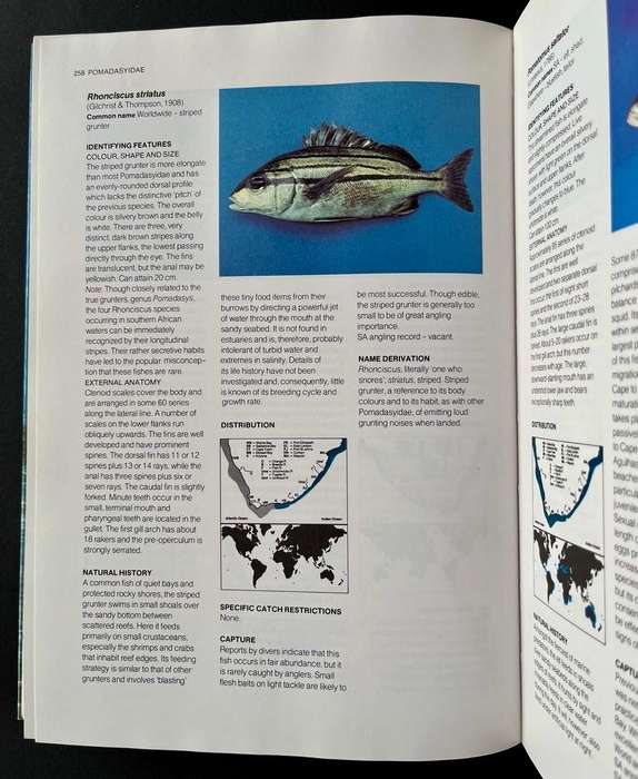 A Guide to the Common Sea Fishes of Southern Africa