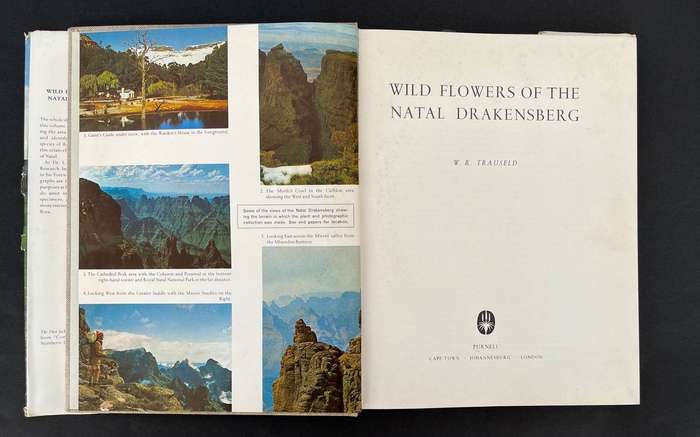 Wild Flowers of the Natal Drakensburg
