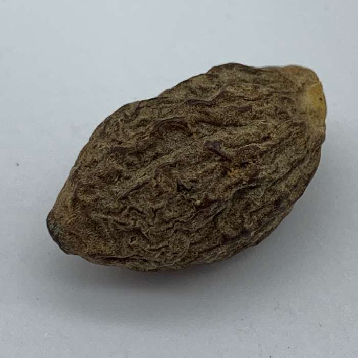 Rare Silver '1798' Nutmeg Grater (By Ford & Slater)
