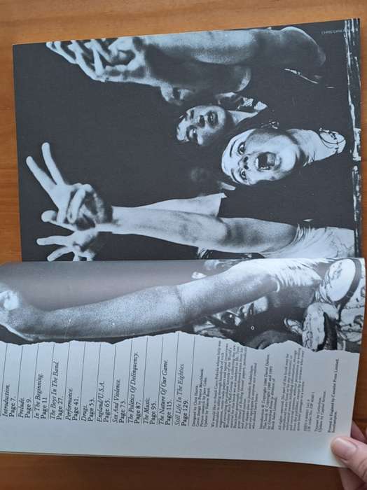 Rolling Stones in their own words  -  Compiled by David Dalton and Mick Farren - 1982
