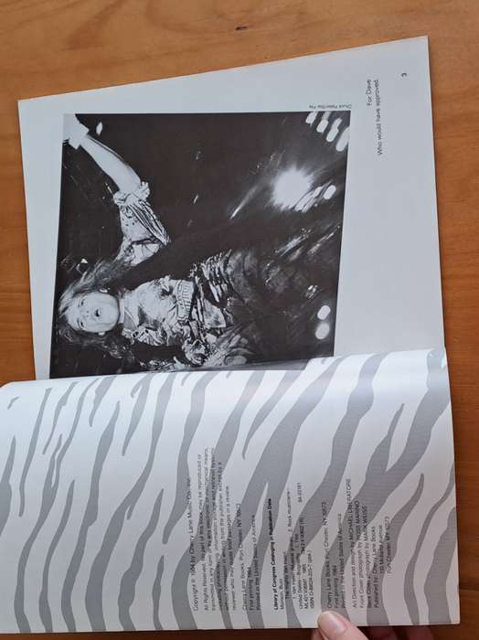 The Mighty Van Halen -  Buzz Morison - 1984