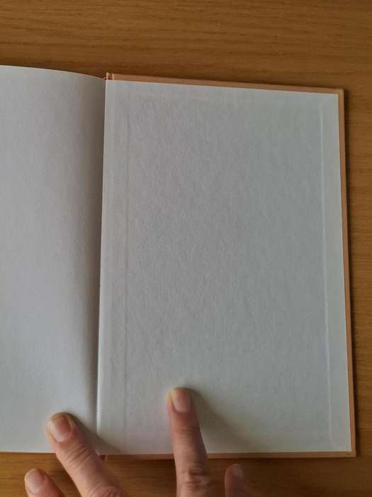 Leopold Scholtz - Waarom die boere die oorlog verloor het -  Hardcover - p260