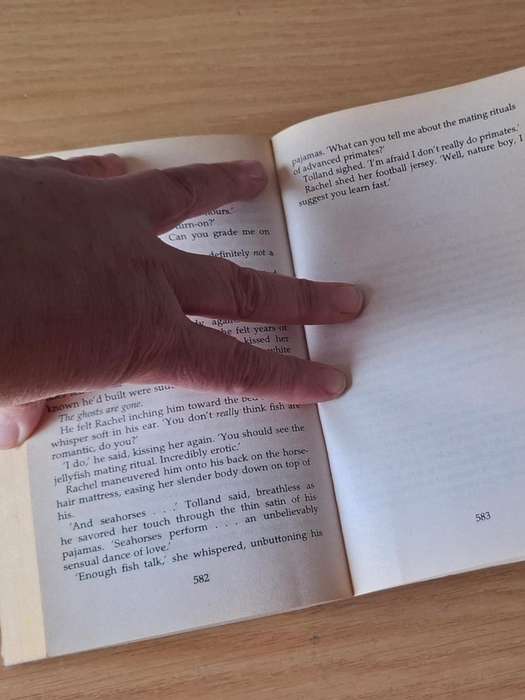 Dan Brown -  Deception point -  Softcover - p585