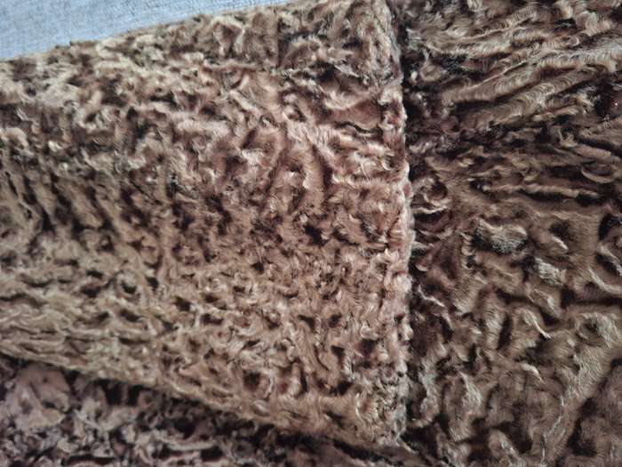 Vintage Karakul ladies coat - caramel with a warm gold hue and fur collar - superb condition