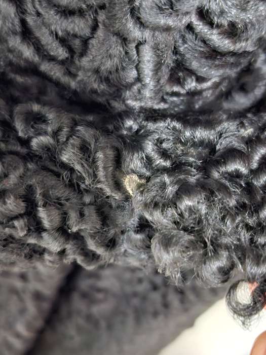 Vintage Black Karakul Pelt Coat with belt - authentic rare find in excellent condition - Size S