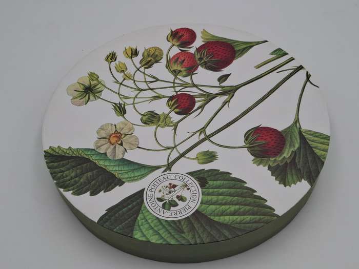 Porcelain Cake Plate and Server - Boxed Pierre Antoine Poiteau Collection - Botanist Range