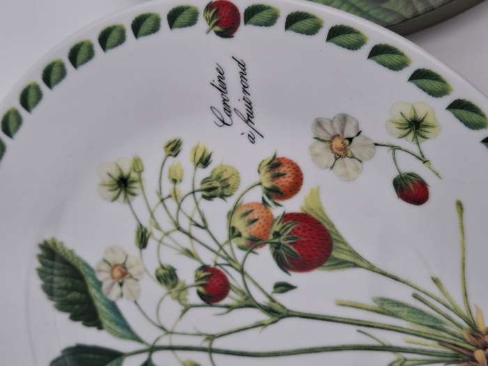 Porcelain Cake Plate and Server - Boxed Pierre Antoine Poiteau Collection - Botanist Range