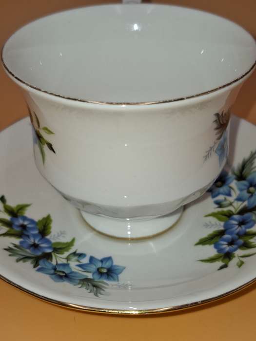 Vintage Queen Anne Fine Bone China - Cup & Saucer Duo - Beautiful Blue Flower Design