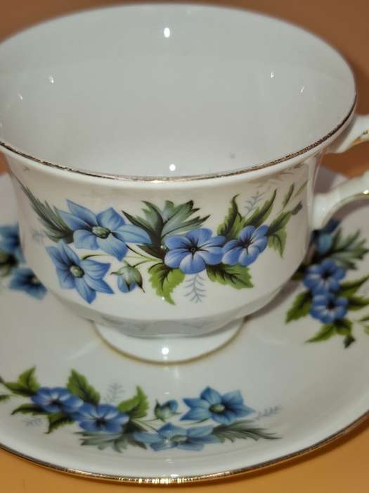 Vintage Queen Anne Fine Bone China - Cup & Saucer Duo - Beautiful Blue Flower Design
