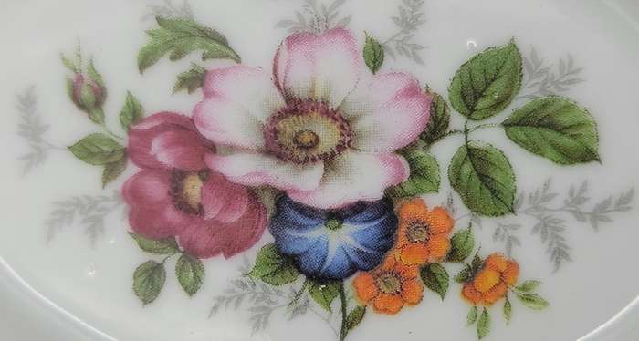 Dresden Filigree Porcelain Dish & Gold Trim Edge - Classic Meissen Flower Painting