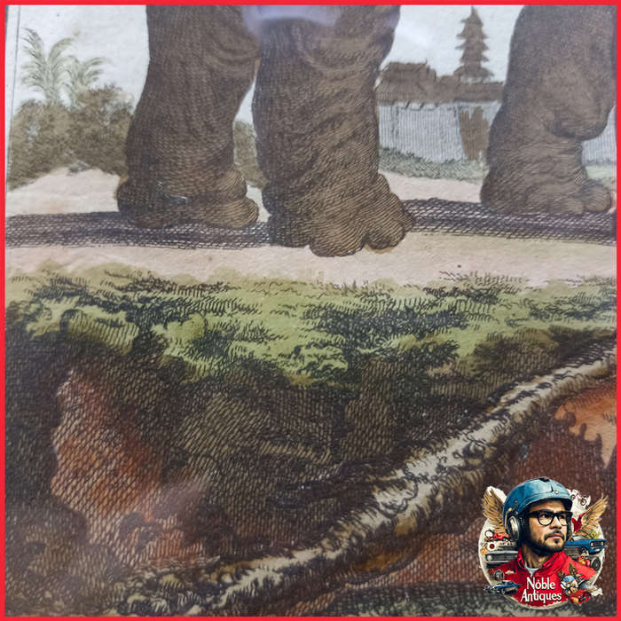 Framed Antique Colored Etch L'elephan Cemelle