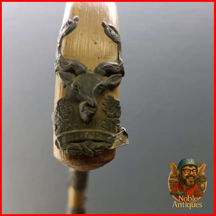 Vintage German Walking Stick or Memory stick, likely 19th or early 20th century (K2)