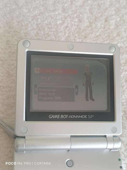 The Sims 2 Pets Gameboy GBA