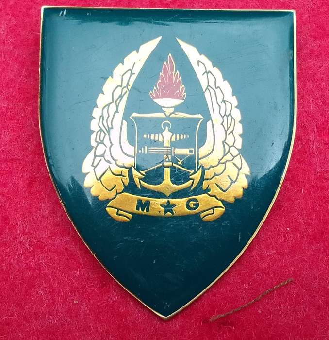 Army Gymnasium shoulder flash
