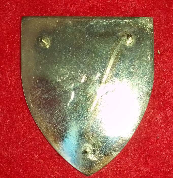 1 Parachute Battalion Flash