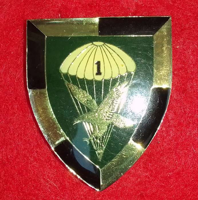 1 Parachute Battalion Flash